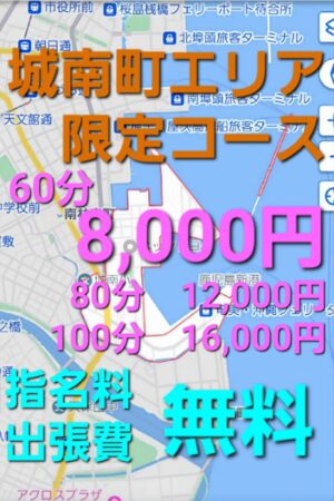 城南町限定コース
