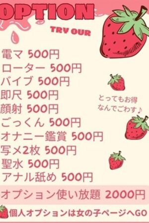 全オプション500円