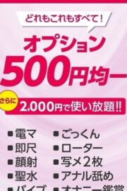 全オプション500円