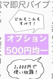 全オプション500円